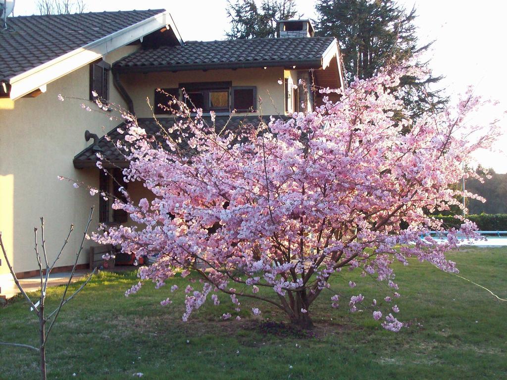 B&B Il Ciliegio Lomnago Exterior photo